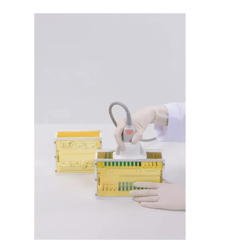 Brust-Phantom für Hochfrequenz-Sonografie