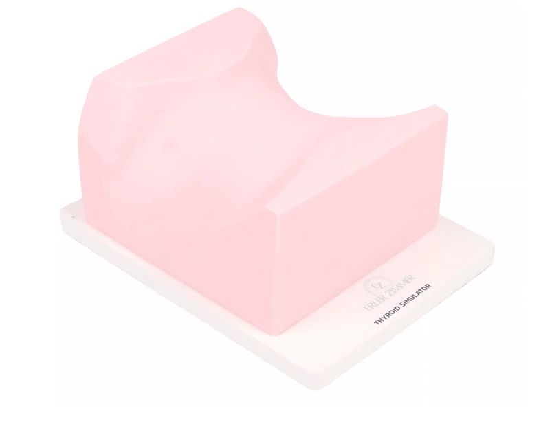 SonoEZ Ultraschalltrainer „Schilddrüse“
