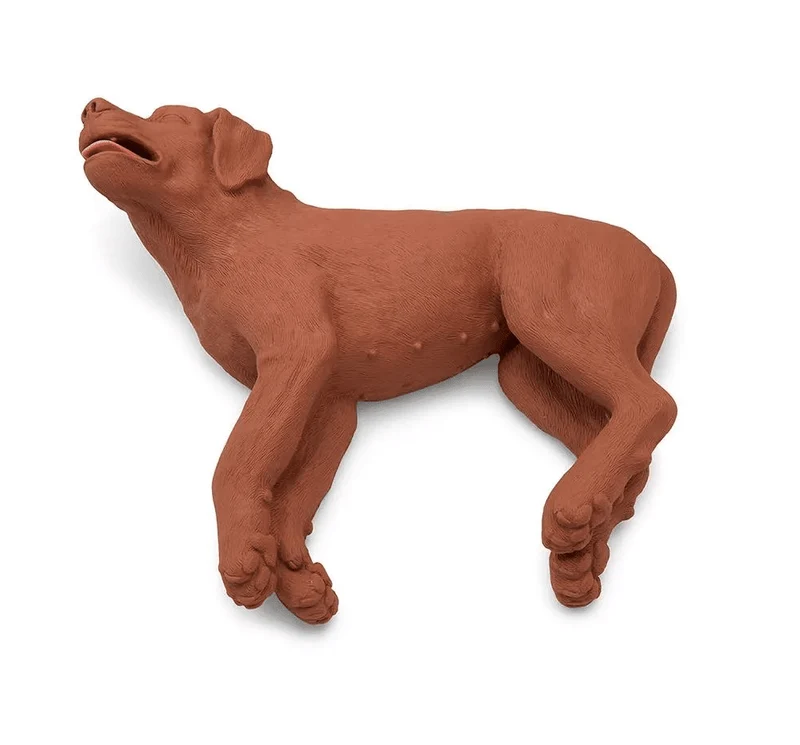 HLW Übungshund CasPeR