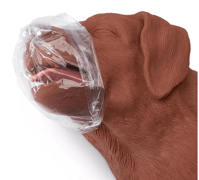 HLW Übungshund CasPeR