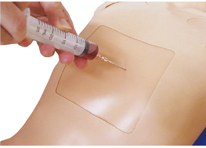 Thorax-Trauma-Trainer