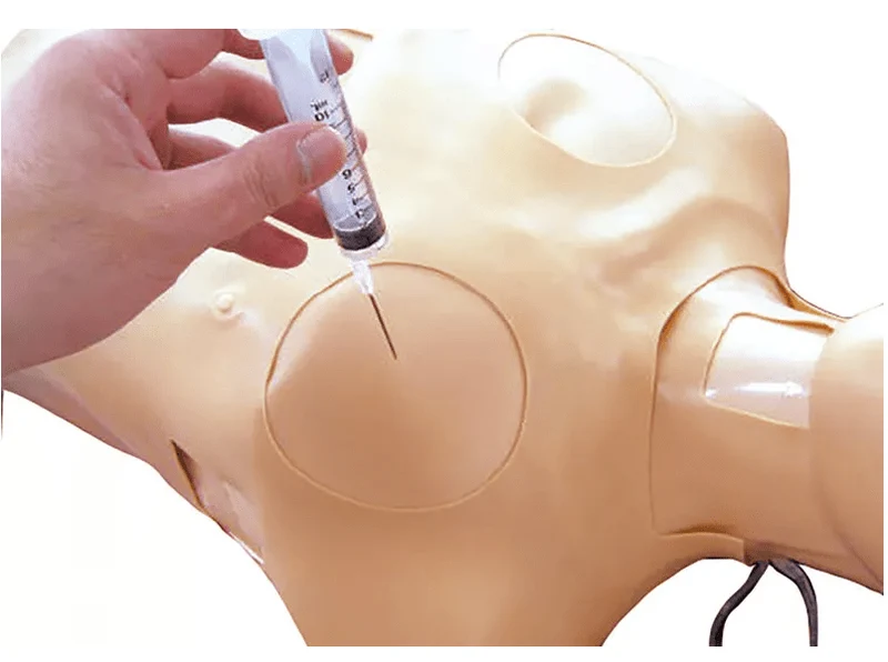 Thorax-Trauma-Trainer