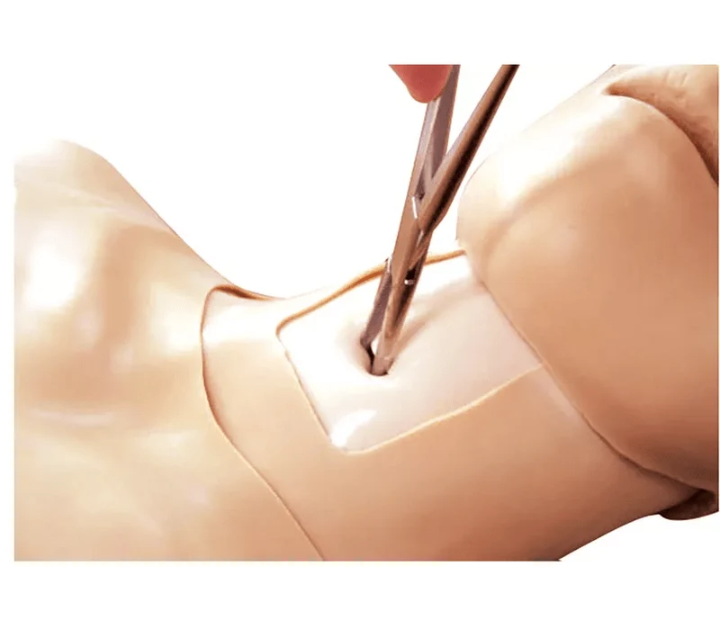 Thorax-Trauma-Trainer