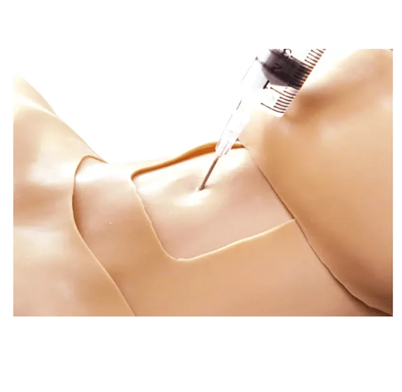 Thorax-Trauma-Trainer