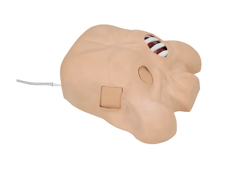 Thoraxdrainage-Simulator