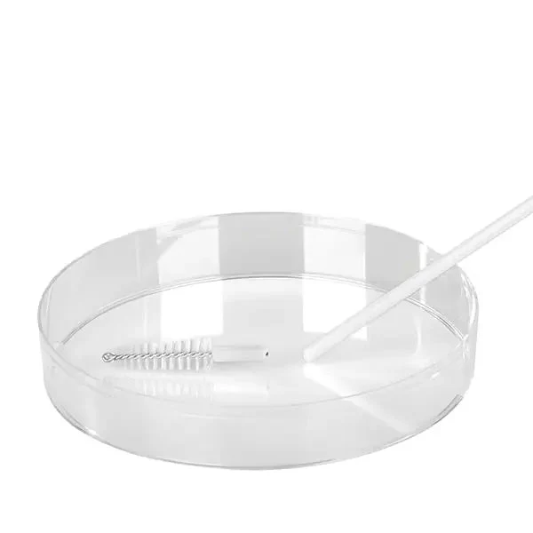 PLUS Economy Abstrichbürste | unsteril | 20 cm