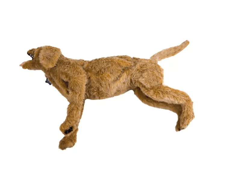 Advanced Airway Jerry Übungshund Notfalltraining