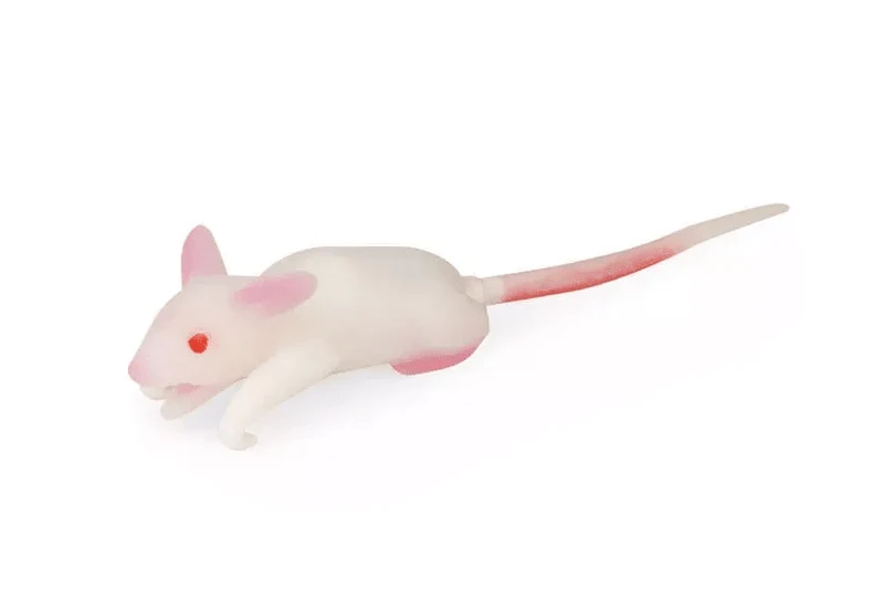 Simulationsmodell Maus