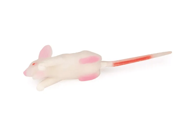 Simulationsmodell Maus