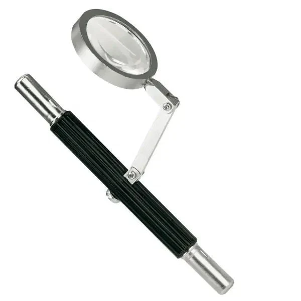 Augenmagnet mit Lupe