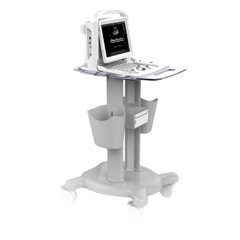 CHISON ECO3 Expert Ultraschallgerät