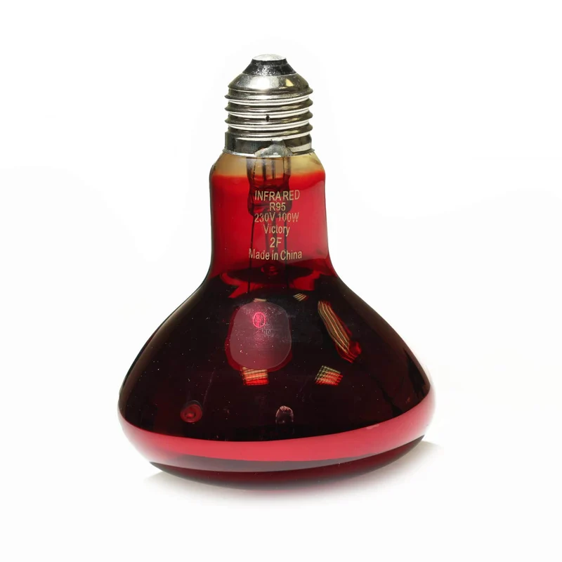 Leuchtmittel für Infrarotlampe