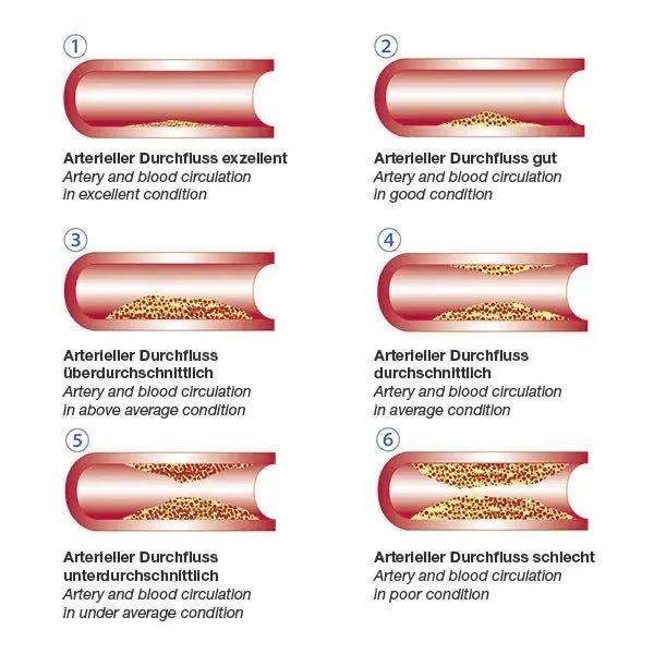 Vascular-Check Finger-Pulsoximeter