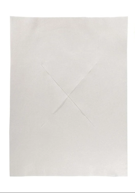 BIO Gesichtsauflagen für Liegen