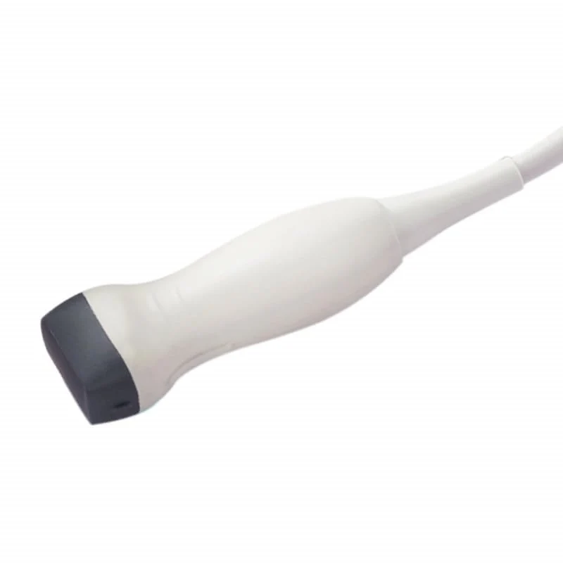 SonoBook 8 Phased-Array-Sonde