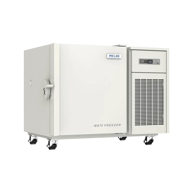 ULT-Gefrierschrank DW-HL100