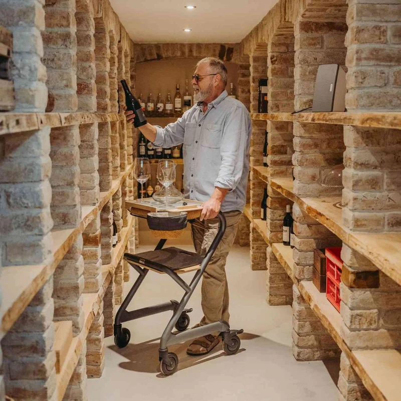 Saljol Wohnraumrollator WR53 mit Sitzfunktion (360°-Drehbar) - Vollausstattung / Sitzhöhe 53 cm