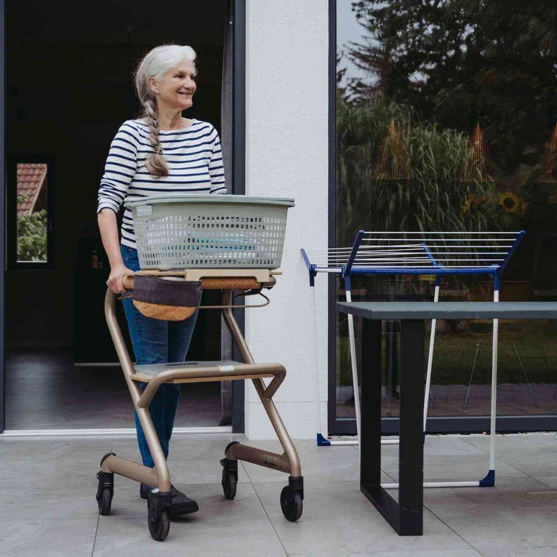 Saljol Wohnraumrollator WR53 mit Sitzfunktion (360°-Drehbar) - Vollausstattung / Sitzhöhe 53 cm