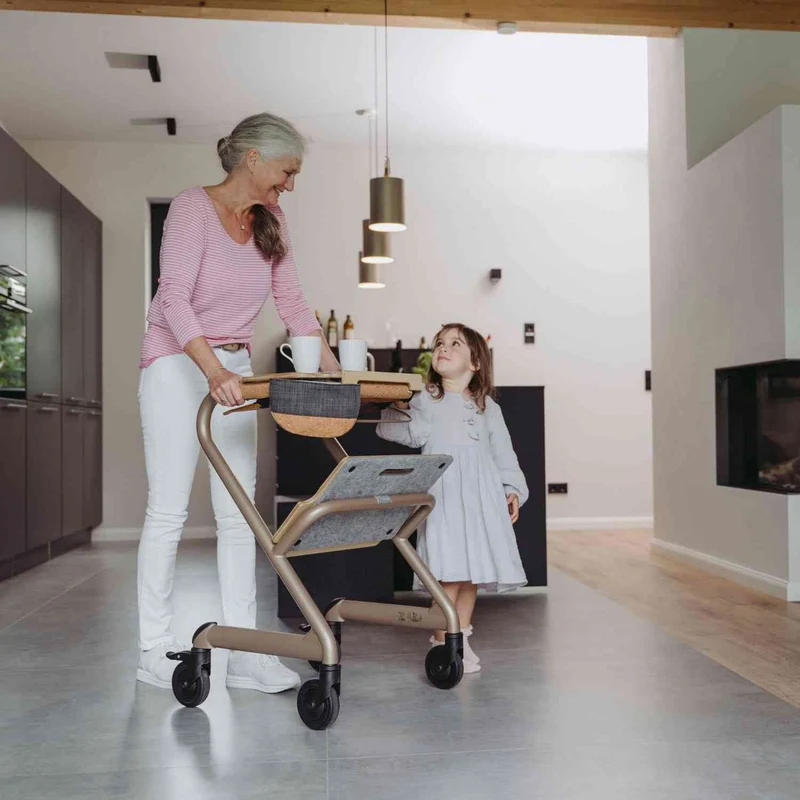 Saljol Wohnraumrollator WR53 mit Sitzfunktion (360°-Drehbar) - Vollausstattung / Sitzhöhe 53 cm