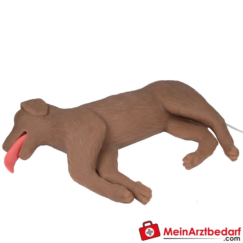 Erler-Zimmer HLW Übungshund Cooper