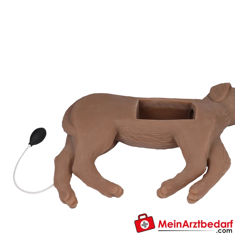 Erler-Zimmer HLW Übungshund Cooper