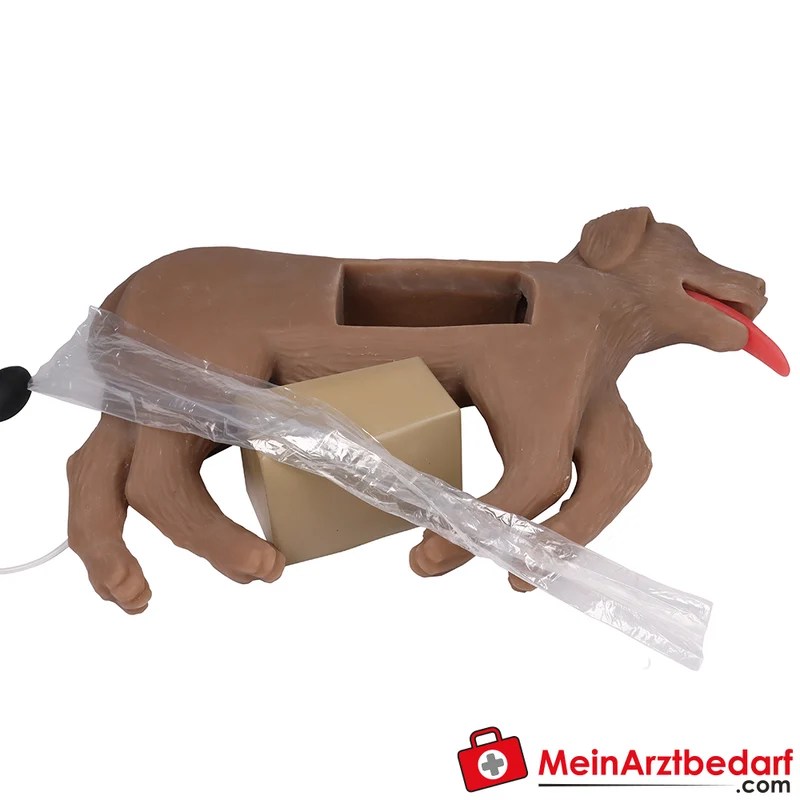 Erler-Zimmer HLW Übungshund Cooper