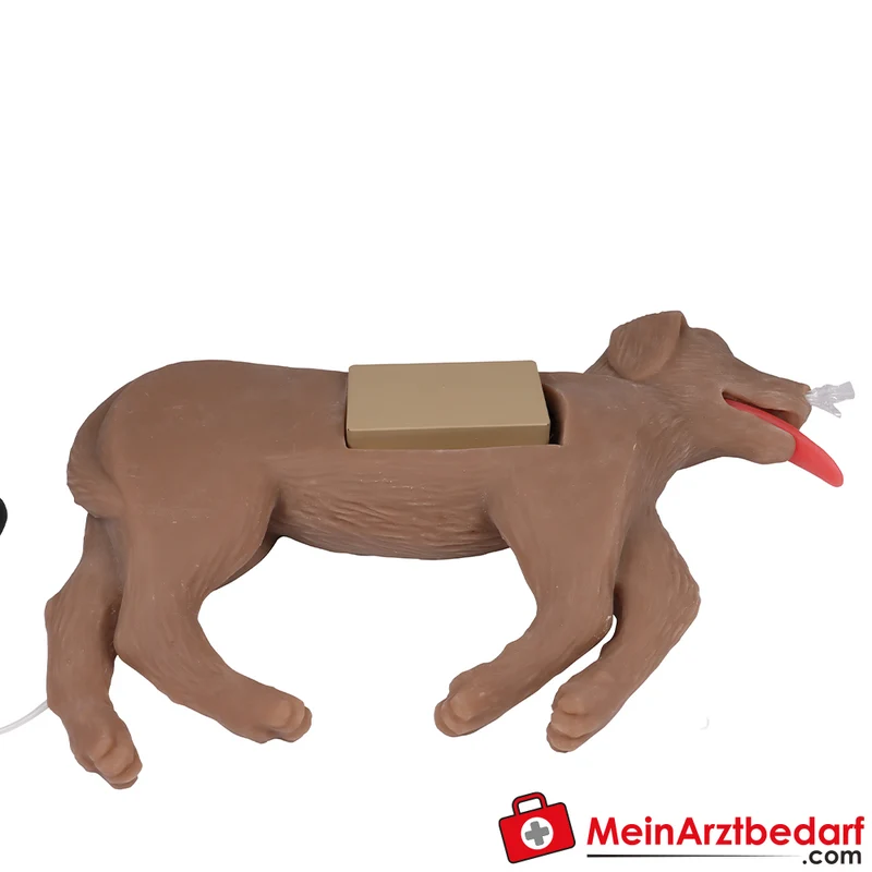 Erler-Zimmer HLW Übungshund Cooper
