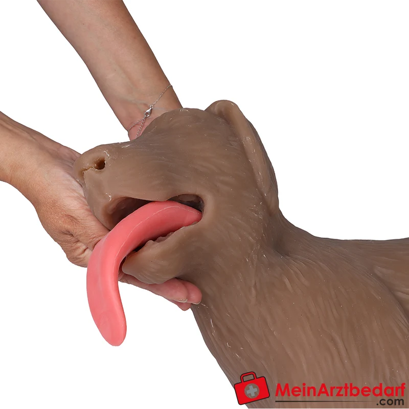 Erler-Zimmer HLW Übungshund Cooper