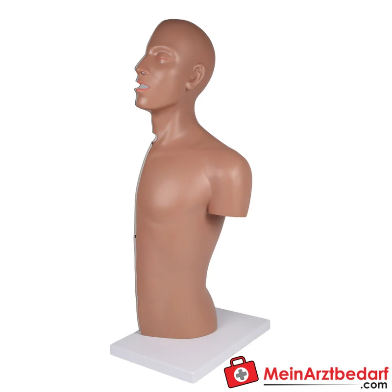 Erler-Zimmer NG Tracheostomie Torso, lebensgroß
