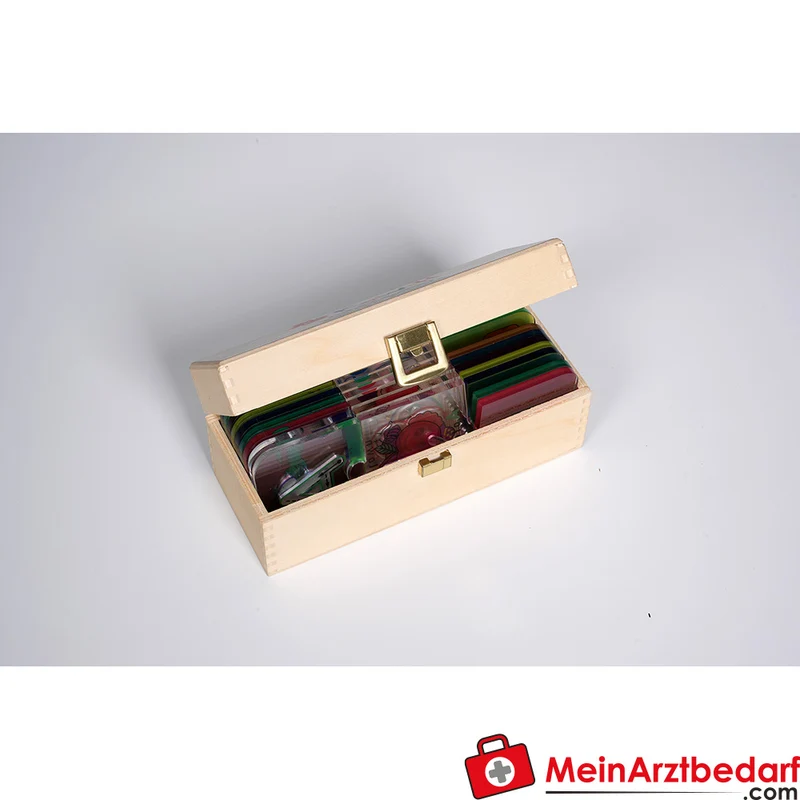 KuWiH LichtZauber Zahlen-Puzzle mit Lichtstift in Holzbox Lernspielzeug ab 3 Jahren