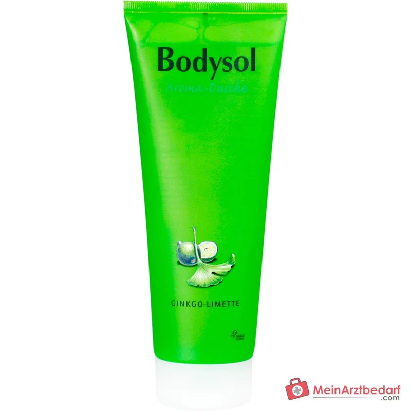 Bodysol Aroma-Dusche Ginkgo-Limette Duschgel mit Panthenol / Ginkgo-Extrakt, 250 ml