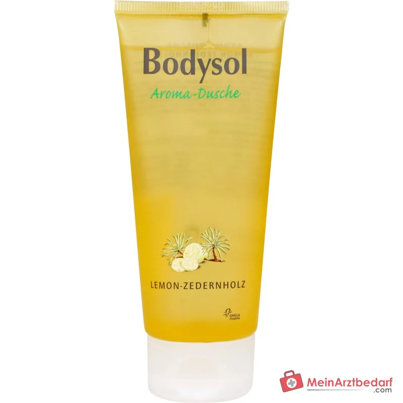 Bodysol Aroma-Dusche Lemon-Zedernholz Duschgel mit Panthenol, 100 ml