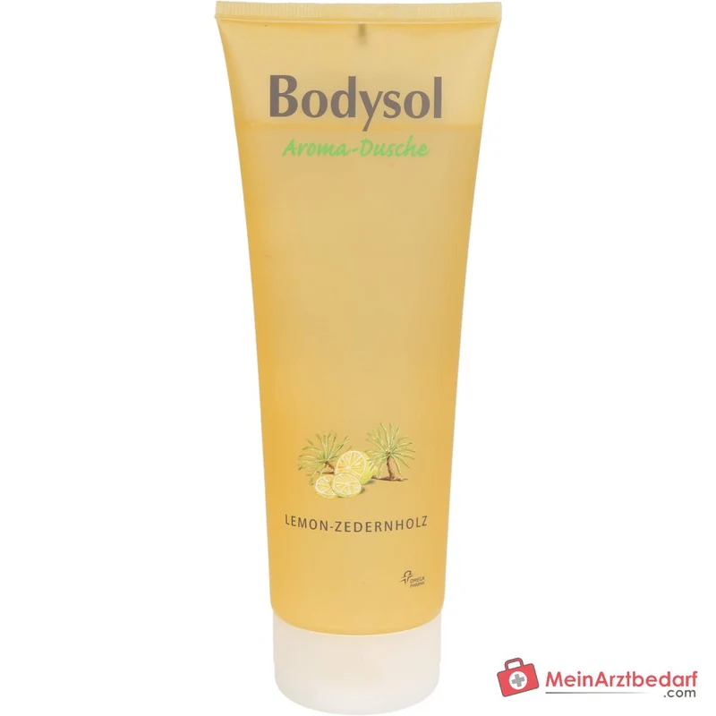Bodysol Aroma-Dusche Lemon-Zedernholz Duschgel, 250 ml