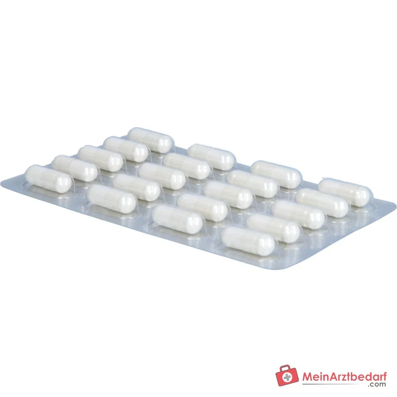 Biolectra Magnesium Magnesiumoxid Kapseln, 100 St.