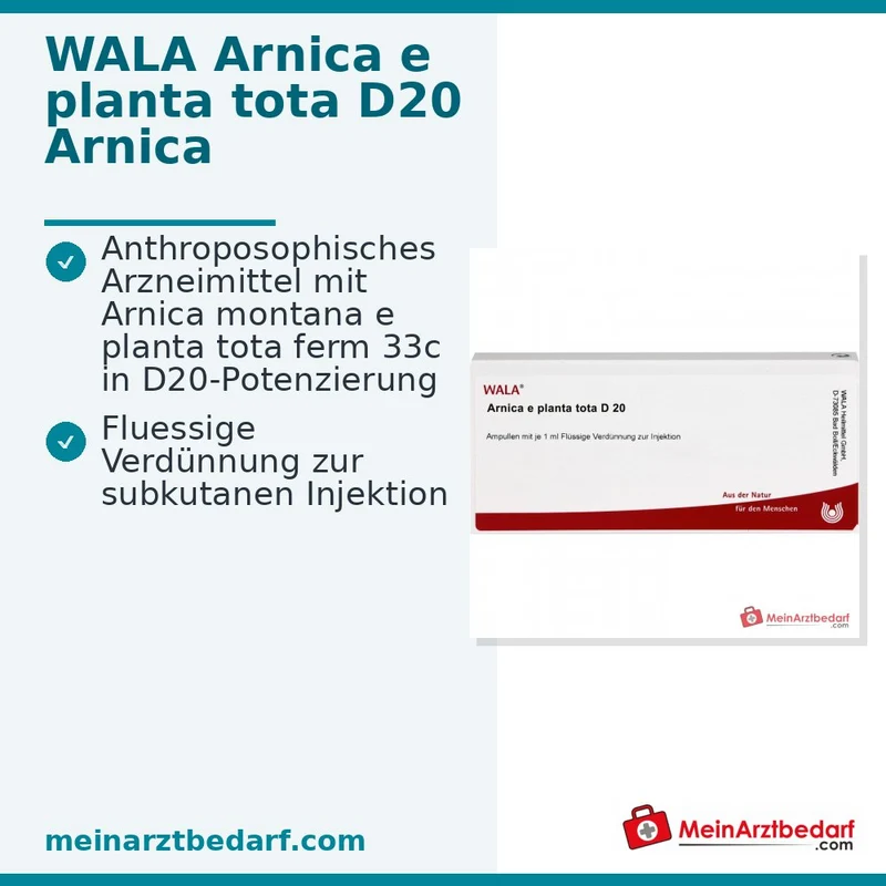 WALA Arnica e planta tota D20 Arnica montana Ampullen, 10 x 1 ml