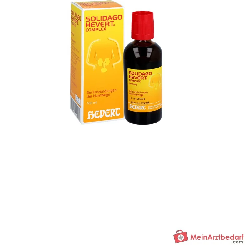Hevert Solidago Complex Tropfen, 100 ml