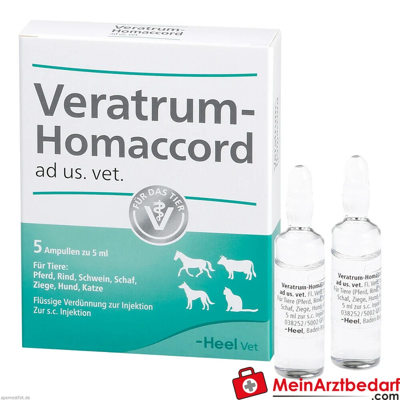 Veratrum homaccord vet 5 St