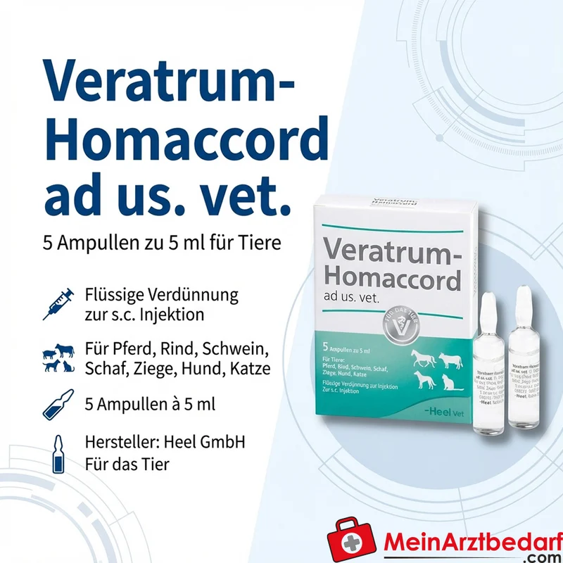 Veratrum homaccord vet 5 St