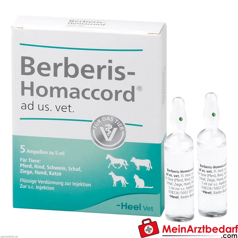Berberis homaccord vet 5 x 5 ml