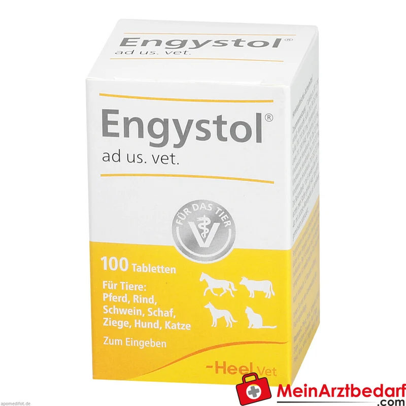 Engystol ad us vet, 100 St
