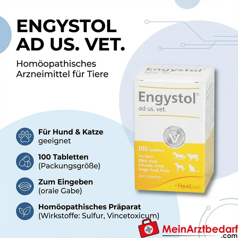 Engystol ad us vet, 100 St