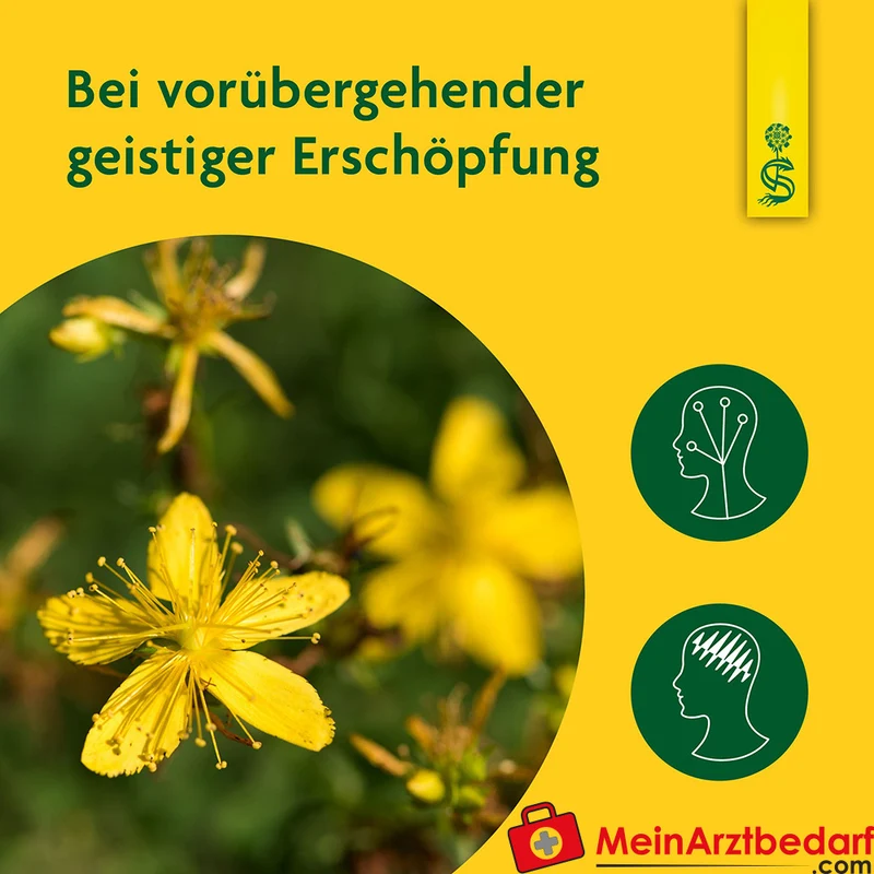 Schoenenberger Naturreiner Heilpflanzensaft Johanniskraut bei Nervenschäche & Nervosität, 200 ml