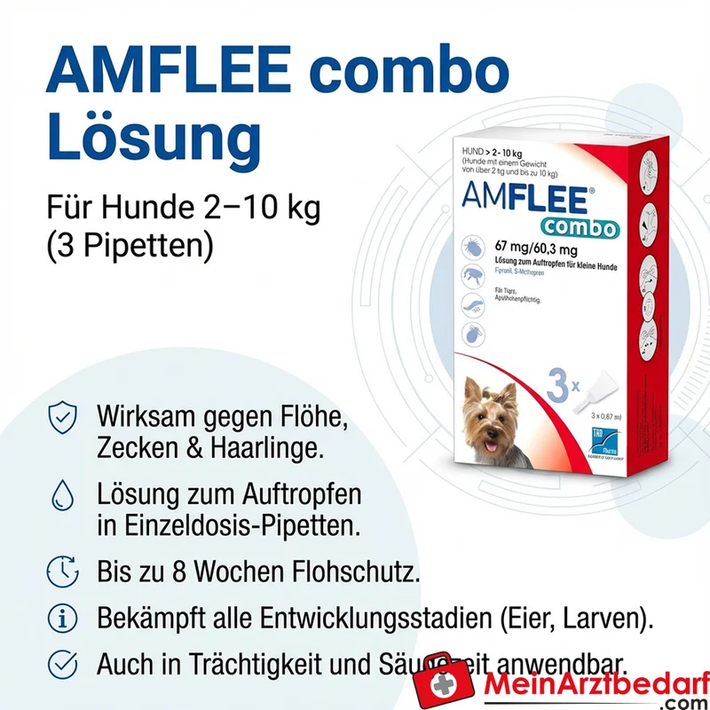 Amflee Combo Hund 2-10kg, 3 St