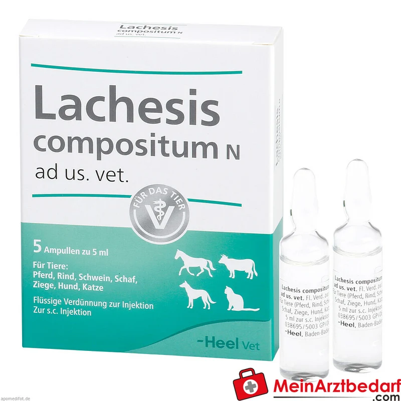 Lachesis comp n vet 5 St