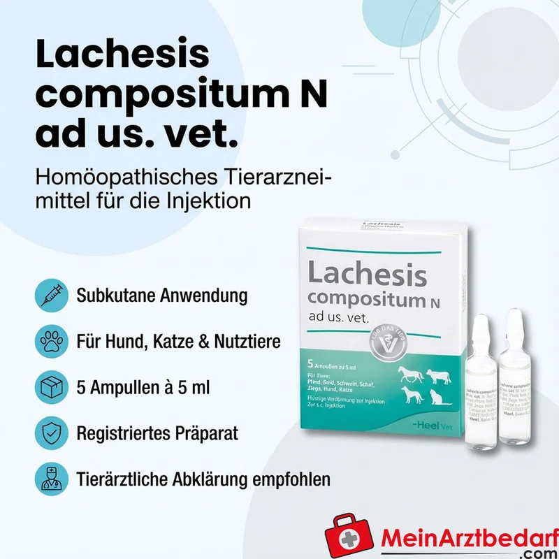 Lachesis comp n vet 5 St