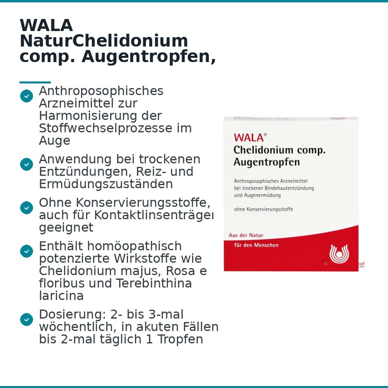 WALA Echinacea Augentropfen, 5 x 0,5 ml