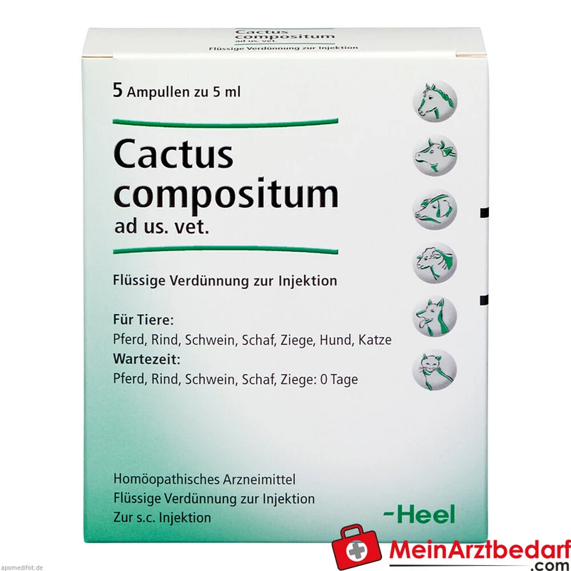 Cactus comp vet, 5 St