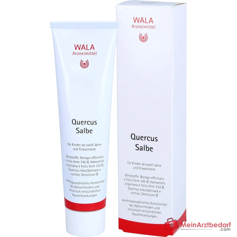 WALA Quercus Salbe, 100 g