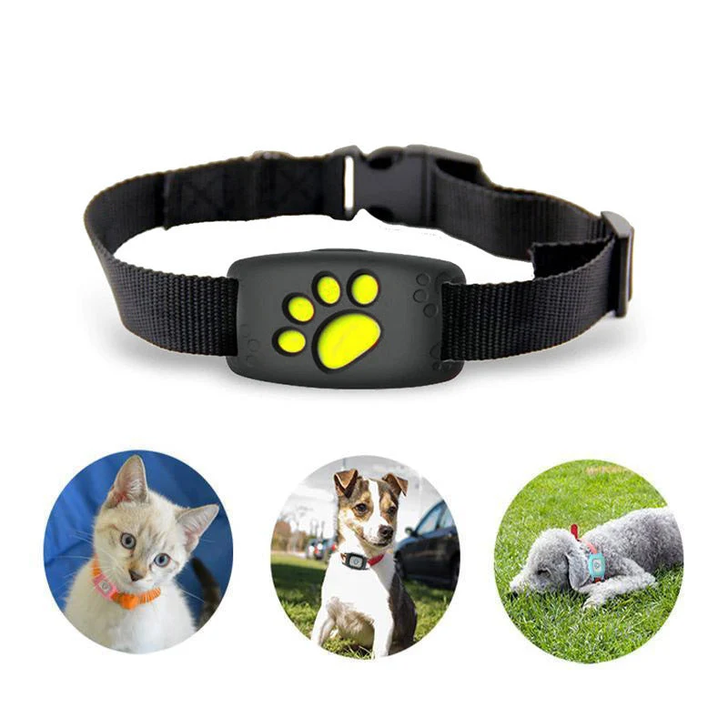 Okos GPS-Halsband für Katzen und kleine Hunde – PawTrack