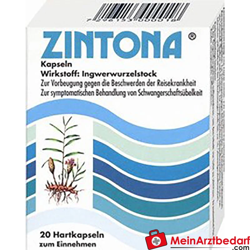 ERW01 Zintona Kapseln 10 St. 250 mg Ingwer, gegen Reisekrankheit
